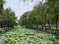 -锦溪古镇