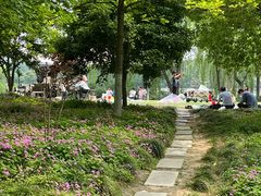 -杭州城北体育公园