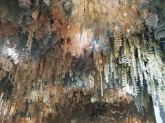 -丽华园(汉阳龙阳店)