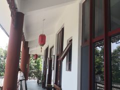 环境-绿色菜园·农家土菜(贤山店)