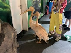 -海合安武汉极地海洋公园