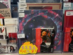 -浣熊唱片店(上海影城店)