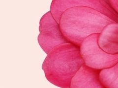 -十八梯眼镜面(五红路店)