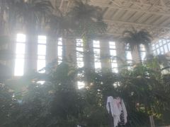 -中家鑫园温泉酒店鑫悦汤泉