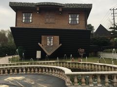 -金山农民画村-枫泾波兰倒置屋