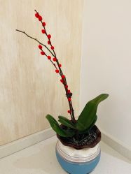 -诗媛嘉美健康管理中心(金桥店)