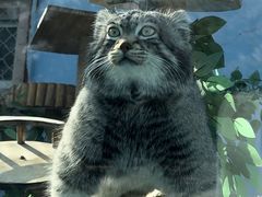 -青藏高原野生动物园