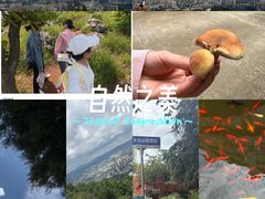 -长虫山生态公园风景林