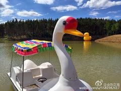 北纬44度·金珠花海景区-北纬44度·金珠花海休闲农业旅游景区