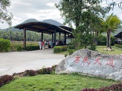 -亚龙湾国际玫瑰谷