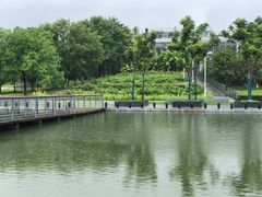 -白塘生态植物园