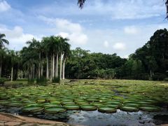 -中国科学院西双版纳热带植物园