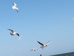 -老虎石海上公园