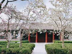 -菖蒲河公园