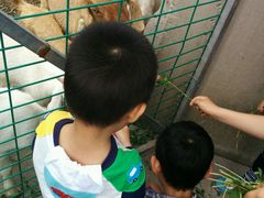 android_upload_pic-上海多利农业发展有限公司