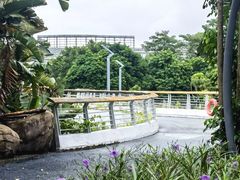 -琅岐红光湖公园