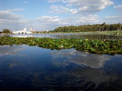 -长春市南湖公园