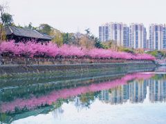 -望江楼公园