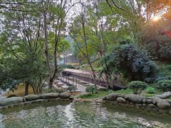 -三江森林温泉度假区