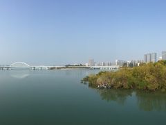 -五缘湾湿地公园