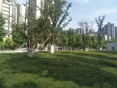 -龙头寺公园