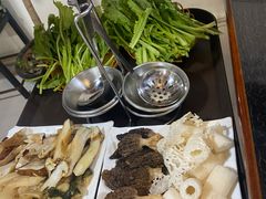 -蘑统田下·野生菌火锅