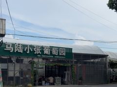 -马陆小张葡萄园农家乐