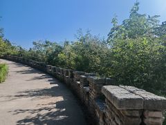 -府君山公园