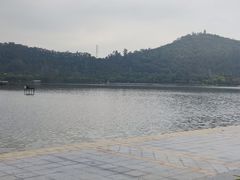 -顺峰山公园