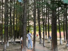 -艾溪湖湿地公园