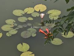 -国家植物园南园