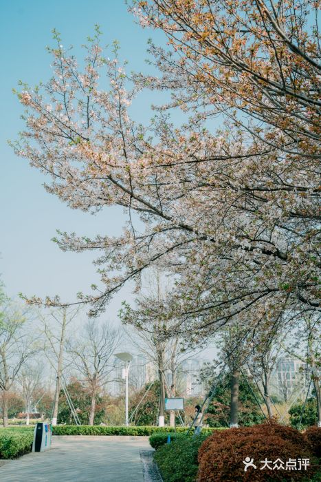 诺贝尔湖公园图片