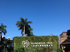 -三亚湾红树林度假世界(木棉酒店)