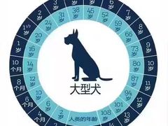 -瑞派天宁宠物医院·猫科·异宠中心