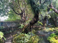 -Chom Cafe and Restaurant