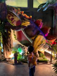 -恐龙探索乐园(磁器口店)