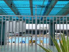 -宝安体育馆游泳馆