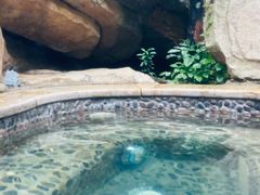 -海口观澜湖火山温泉谷