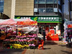 -珠光市场(文德南路)