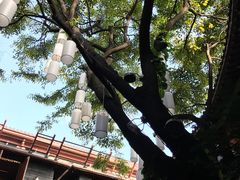 -醉云喃