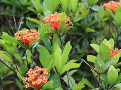 -福建鲤鱼洲酒店