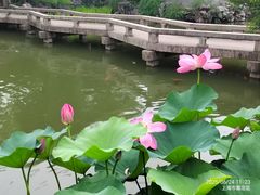 -檀园