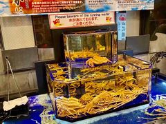 -蟹道乐(京都本店)