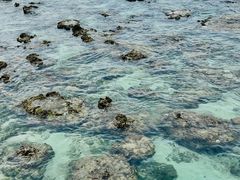 -三亚西岛海洋文化旅游区