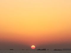 -宝安西湾红树林湿地公园