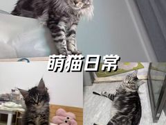 -联合动物医院(光谷诊疗中心)