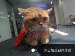 -宠物家(双井店)
