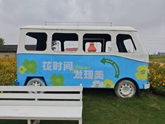 -杭州湾海上花田景区