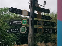 -青青世界