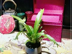 -翠园十八号庭院餐厅